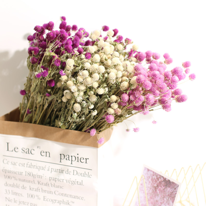 Natural Florist Supply - Ślubna dekoracja domu walentynki prezenty prawdziwe
